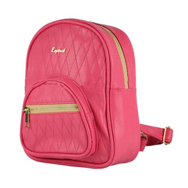 Espiral ladies Backpack for Student-Sofiapink 08