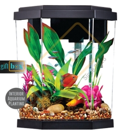 12 Pcs Multicolor Matte Shape Stones For Aquarium Flower Pot Garden Room Interior Home Decorative Stones, 3 image