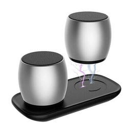 Sardine F1 Metal Bluetooth Speakers TWS System column Portable mini Speaker