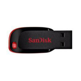 Sandisk 32 GB USB Flash Drive