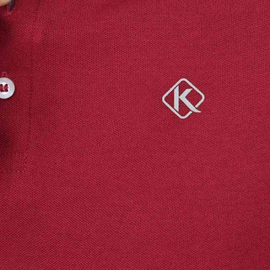Men's Maroon Solid Polo Shirt, 2 image