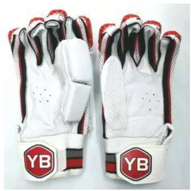 Cricket Gloves YB