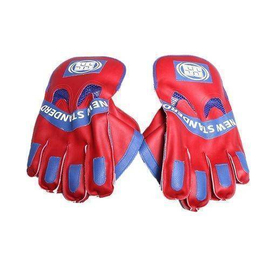 Cricket Keeping Gloves - Red
