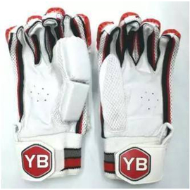 Cricket Gloves YB