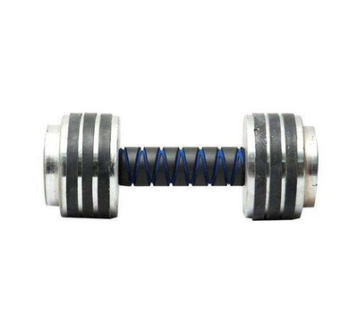 6kg Dumbbell - Black and Silver