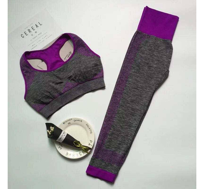 New Seamless Sports Bra and Pant Set -Gray & Purple, Size: M