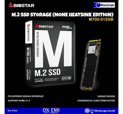 Biostar M700-512GB SSD NVMe M.2 (None Heatsink Edition)
