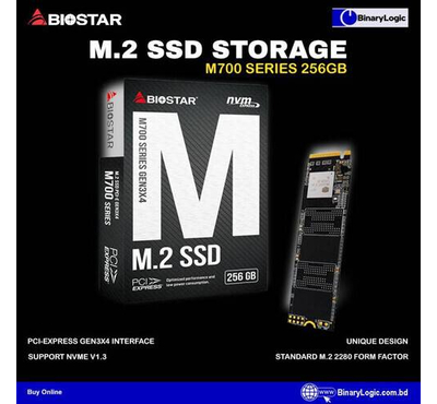 Biostar M700 Series 256GB SSD