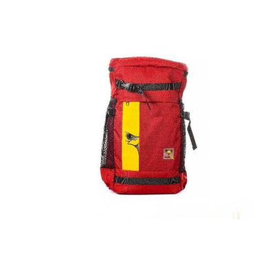 FF Backpack 03 Maroon