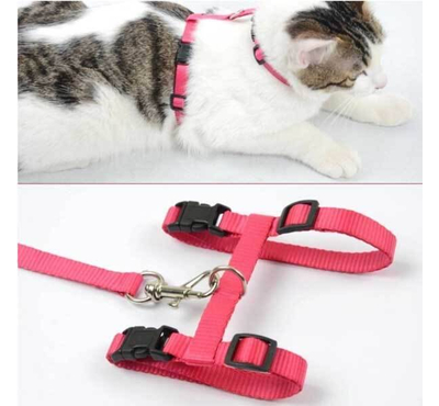 Adjustable Nylon Pet Puppy & Cat Harness and Leash  Kitten Belt Collar