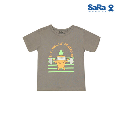 SaRa Boys T Shirt (BTS32FKK-Grey), Baby Dress Size: 2-3 years