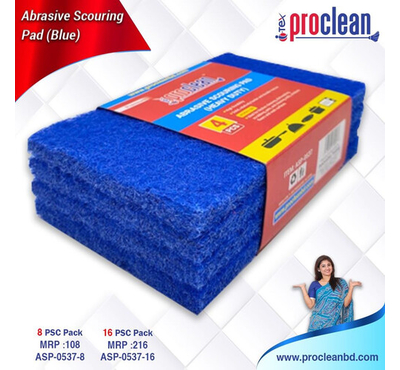 Abrasive Scouring Pad - Blue 4pcs