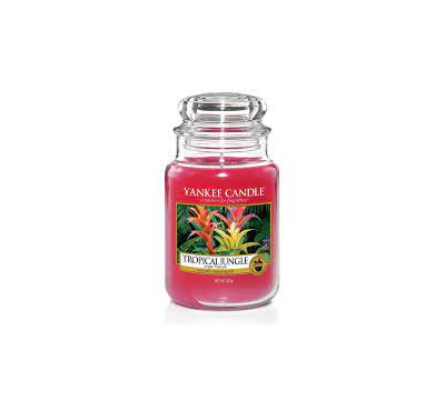 Yankee Candle Scented Candle | Tropical Jungle Large Jar Candle 623gm