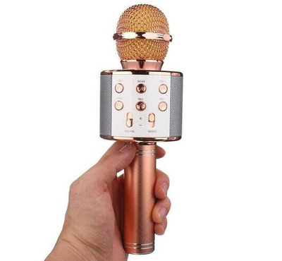 Karaoke Blutooth Microphone WS-858