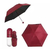7 inch Capsule Mini Umbrella, 2 image