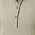 Beige Long Sleeve Fashionable Short Panjabi For Men, 2 image
