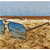 Luxurious Light Sky Blue Shade Silver Frame Eyewear Sunglasses, 2 image