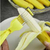 New Novelty Banana slicer bananenschneider Stainless Steel Cucumber Cutter Fruit Vegetable Knife Salad Sundaes Chopper, 3 image