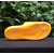 Classic Fashionable Slide Slippers For Unisex, 2 image