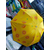 Best Quality Umbrella