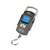 F1976-744E Portable Electronic Hanging Weight Scale 0-50KG
