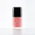 Nirvana Color Nail Enamel  Fairytale-03, 2 image