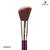 Absolute New York Angled Blush Brush For Face - ABMB06